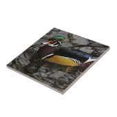 Male Wood Duck At Crystal Springs Rhododendron Tegeltje (Zijkant)