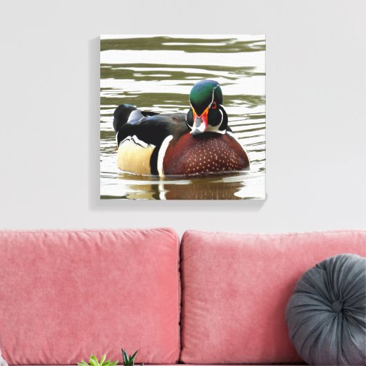 MALE WOOD DUCK CANVAS AFDRUK (Insitu (Woonkamer))