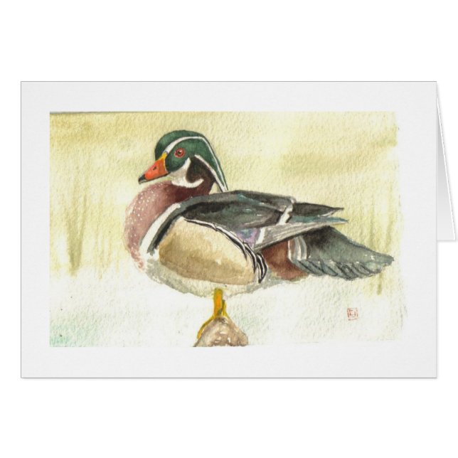 Male Wood Duck Card (Voorkant Horizontaal)