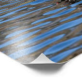 Male Wood Duck Foto Afdruk (Hoek)