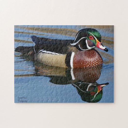 Male Wood Duck Reflection Legpuzzel (Horizontaal)
