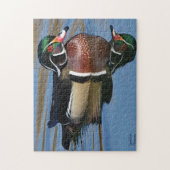 Male Wood Duck Reflection Legpuzzel (Verticaal)