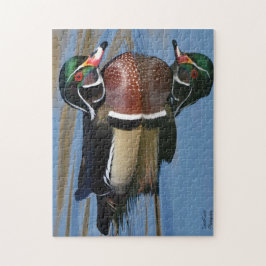 Male Wood Duck Reflection Legpuzzel