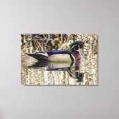 Male wood duck swimming in pond canvas print (Voorkant)