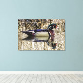 Male wood duck swimming in pond canvas print (Insitu (Houten vloer))