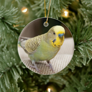 Male Yellow and Green Parakeet Keramisch Ornament