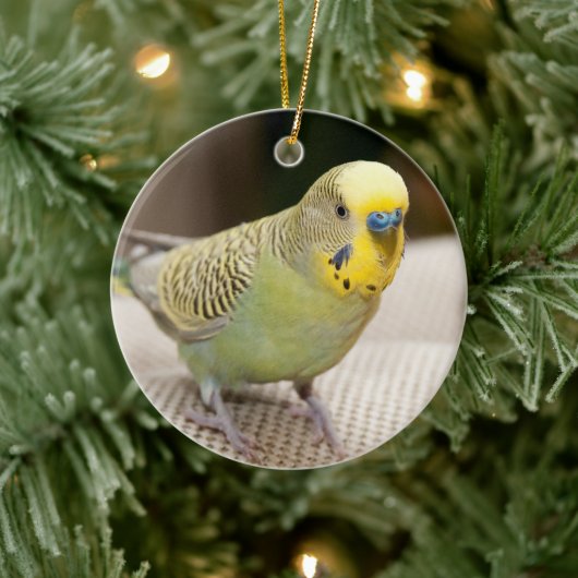 Male Yellow and Green Parakeet Keramisch Ornament (Boom)