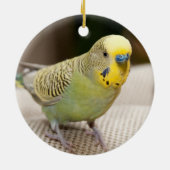 Male Yellow and Green Parakeet Keramisch Ornament (Achterkant)