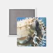 Malediven Magneet (Voorkant / Achterkant)