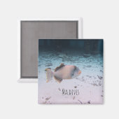 Malediven Onderwater Koraal Vis Souvenir Magneet (Voorkant / Achterkant)