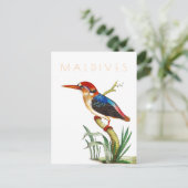 Malediven reizen tropische vogels midden eeuw Briefkaart (Staand voorkant)