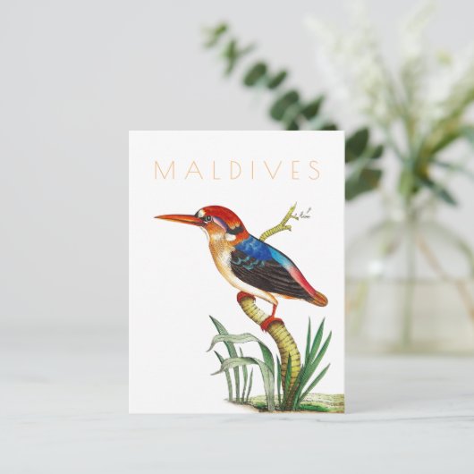 Malediven reizen tropische vogels midden eeuw Briefkaart (Staand voorkant)