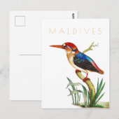 Malediven reizen tropische vogels midden eeuw Briefkaart (Voorkant / Achterkant)