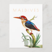 Malediven reizen tropische vogels midden eeuw Briefkaart (Voorkant)