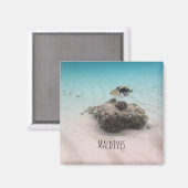 Malediven Witte Zandlagune Koraal Vis Souvenir Magneet (Voorkant / Achterkant)