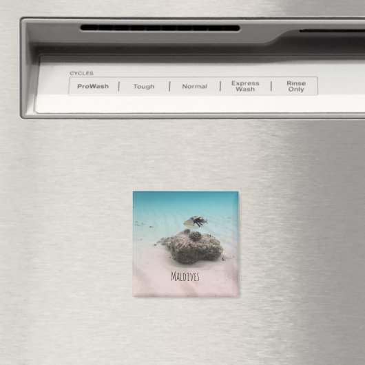 Malediven Witte Zandlagune Koraal Vis Souvenir Magneet (Insitu (Vaatwasser))