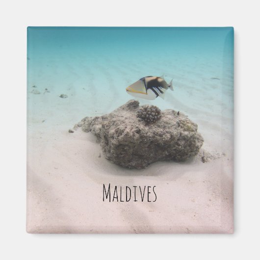 Malediven Witte Zandlagune Koraal Vis Souvenir Magneet (Voorkant)