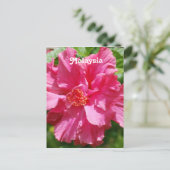 Maleisië Hibiscus Briefkaart (Staand voorkant)