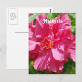 Maleisië Hibiscus Briefkaart (Voorkant / Achterkant)