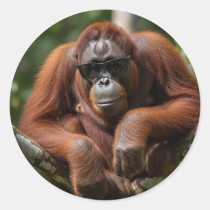 Maleisië Orang-oetan met zonnebril Ronde Sticker