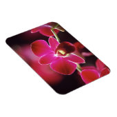 Maleisië, Orchid Magneet (Rechterzijde)