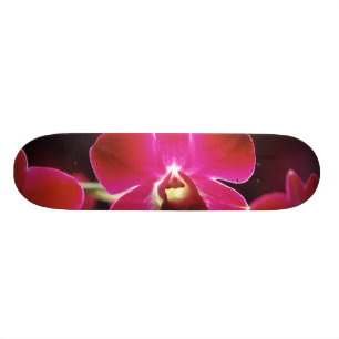 Maleisië, Orchid Skateboard