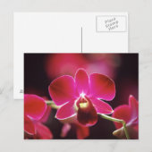 Maleisië, Orchidee Briefkaart (Voorkant / Achterkant)