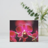 Maleisië, Orchidee Briefkaart (Staand voorkant)