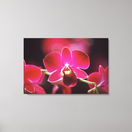 Maleisië, Orchidee Canvas Afdruk (Voorkant)