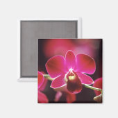 Maleisië, Orchidee Magneet (Voorkant / Achterkant)
