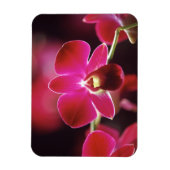 Maleisië, Orchidee Magneet (Verticaal)