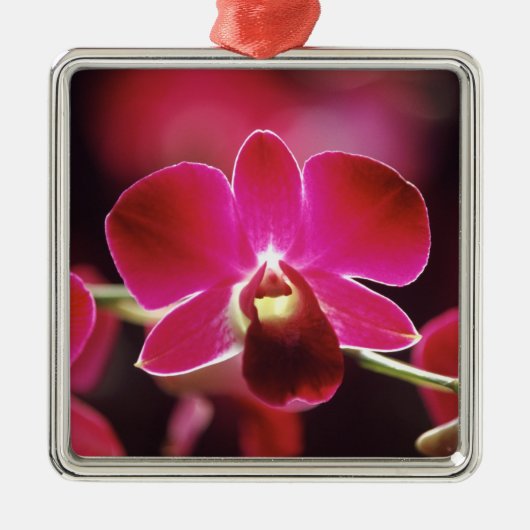 Maleisië, Orchidee Metalen Ornament (Voorkant)