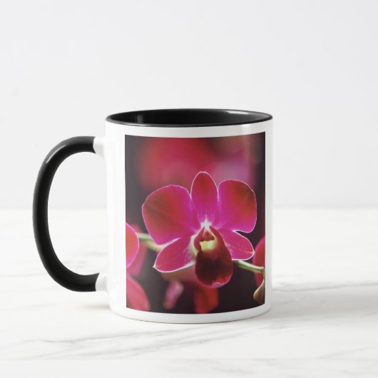 Maleisië, Orchidee Mok (Links)