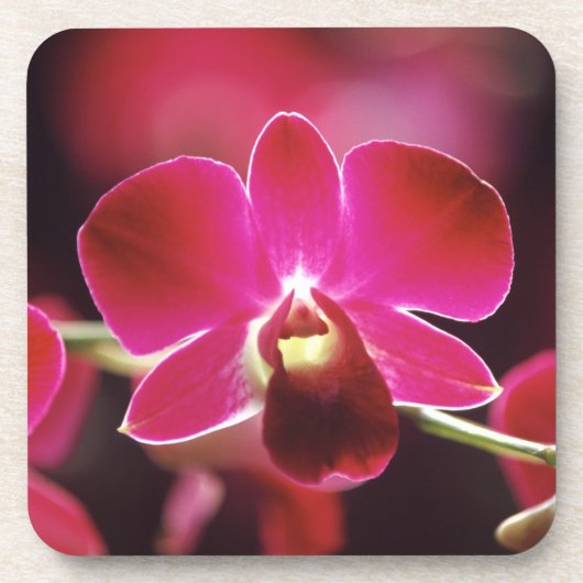 Maleisië, Orchidee Onderzetter (Voorkant)