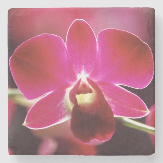 Maleisië, Orchidee Stenen Onderzetter (Voorkant)