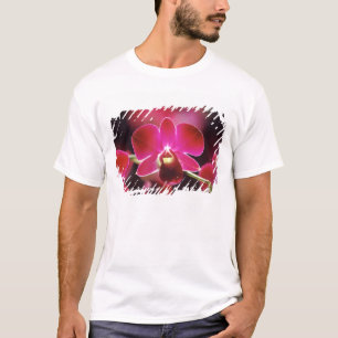 Maleisië, Orchidee T-shirt