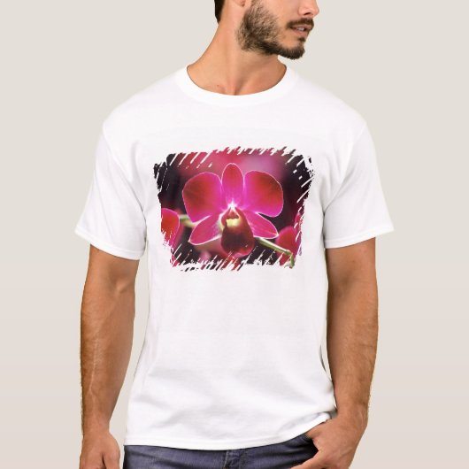 Maleisië, Orchidee T-shirt (Voorkant)