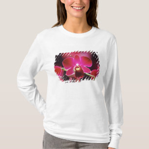 Maleisië, Orchidee T-shirt