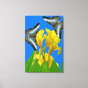 Maleisische blauwe klipper Uitgerekt Canvas Afdruk