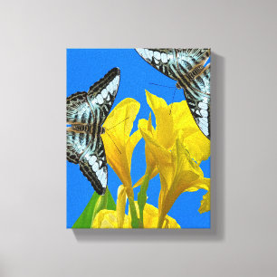 Maleisische blauwe klipper Uitgerekt Canvas Afdruk