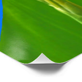 Maleisische blauwe klipper vlinders op Canna King Perfect Poster (Hoek)