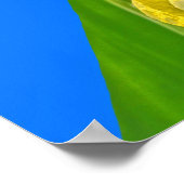 Maleisische blauwe klipper vlinders op Canna King Poster (Hoek)