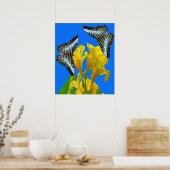 Maleisische blauwe klipper vlinders op Canna King Poster (Keuken)