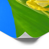 Maleisische blauwe klipper vlinders op Canna Poste Poster (Hoek)