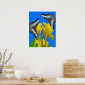 Maleisische blauwe klipper vlinders op Canna Poste Poster (Keuken)