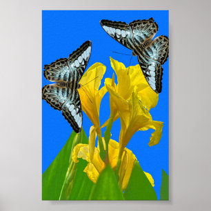 Maleisische blauwe klipper vlinders op Canna Poste Poster