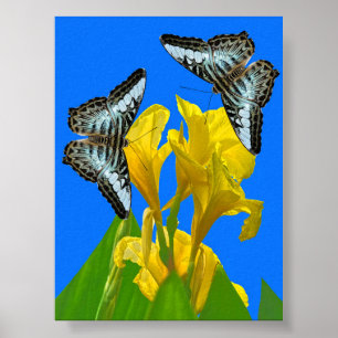 Maleisische blauwe klipper vlinders op Canna Poste Poster