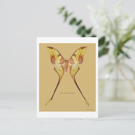 Maleisische Moon Moth Briefkaart (Staand voorkant)