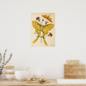Maleisische Moon Moth & China Pink Poster (Keuken)