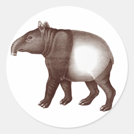 Maleisische tapir / Aziatische tapir - Stickers (Voorkant)